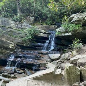 Meet your Posher, Tabitha